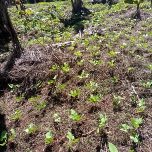 IMG-20221001-WA0008 - Copie